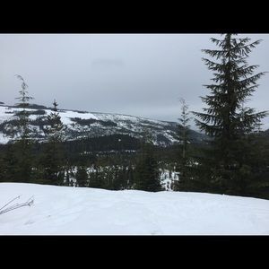 Meet your Posher, Carly